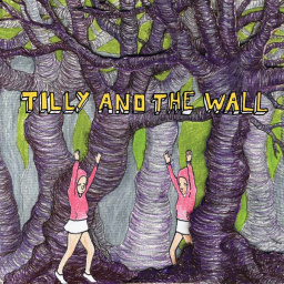 Tilly and the Wall - Wild Like Children.jpg
